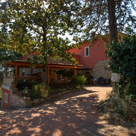 Agriturismo Terre Della Rinascita Castelnuovo della Misericordia Extérieur photo