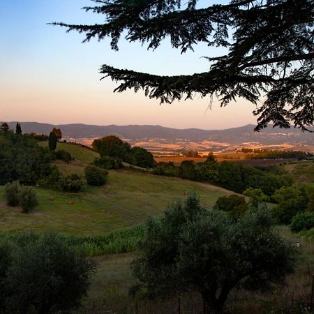 Agriturismo Terre Della Rinascita Castelnuovo della Misericordia Extérieur photo