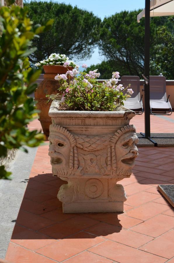 Agriturismo Terre Della Rinascita Castelnuovo della Misericordia Extérieur photo