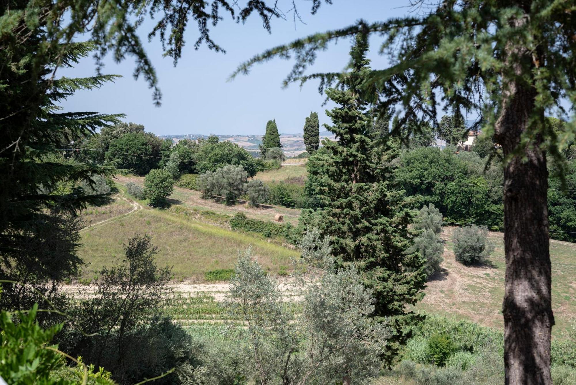 Agriturismo Terre Della Rinascita Castelnuovo della Misericordia Extérieur photo