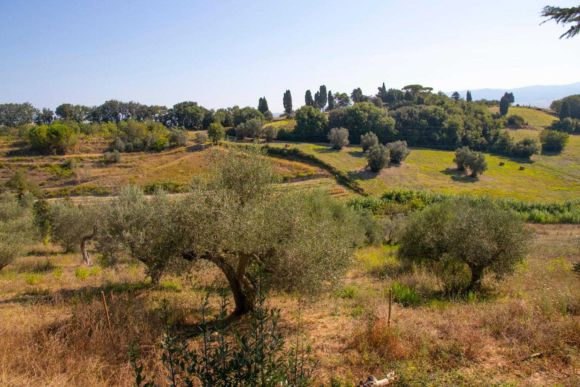 Agriturismo Terre Della Rinascita Castelnuovo della Misericordia Extérieur photo