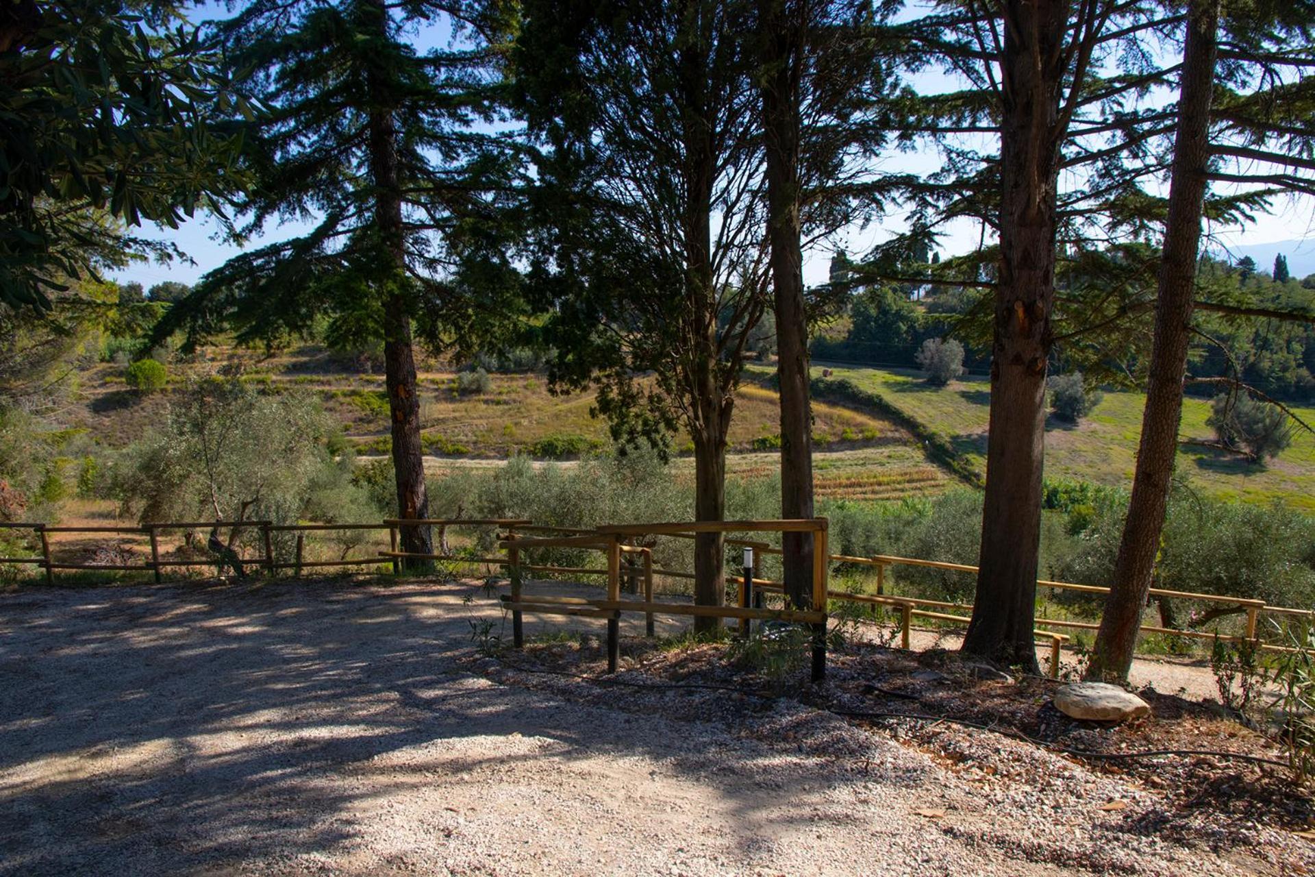 Agriturismo Terre Della Rinascita Castelnuovo della Misericordia Extérieur photo